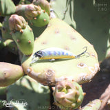 RH Flashbang 38mm 2.8g Mini Jerkbait
