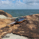 RH Fatcat 70mm 21g Crankbait