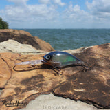 RH Fatcat 70mm 21g Crankbait