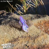 MUNCH BAITS Bream Bug