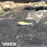 VibeX 95mm 25g 10 LURE BUNDLE PACK